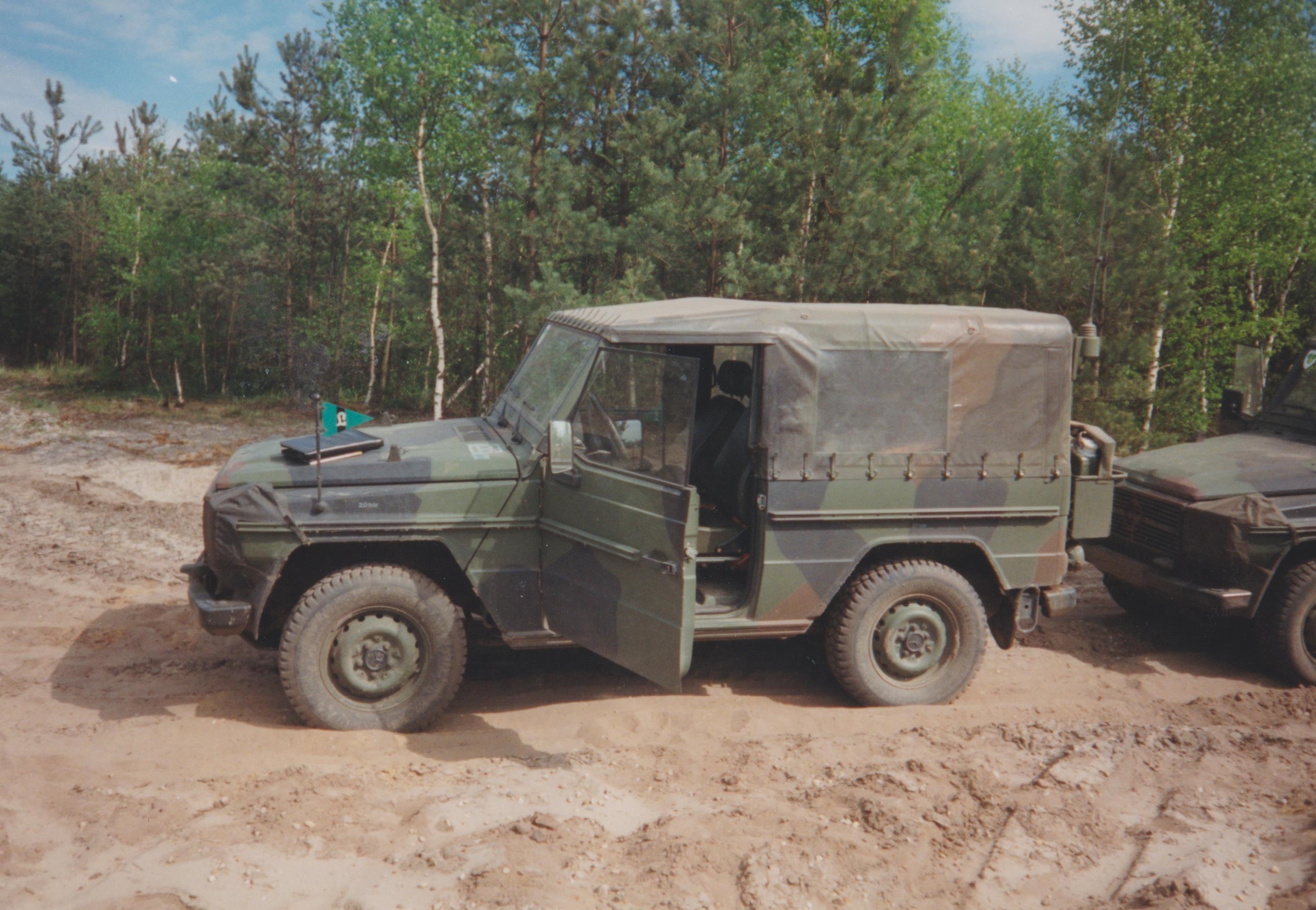 1995_06_Nochten_6_ChefWolf